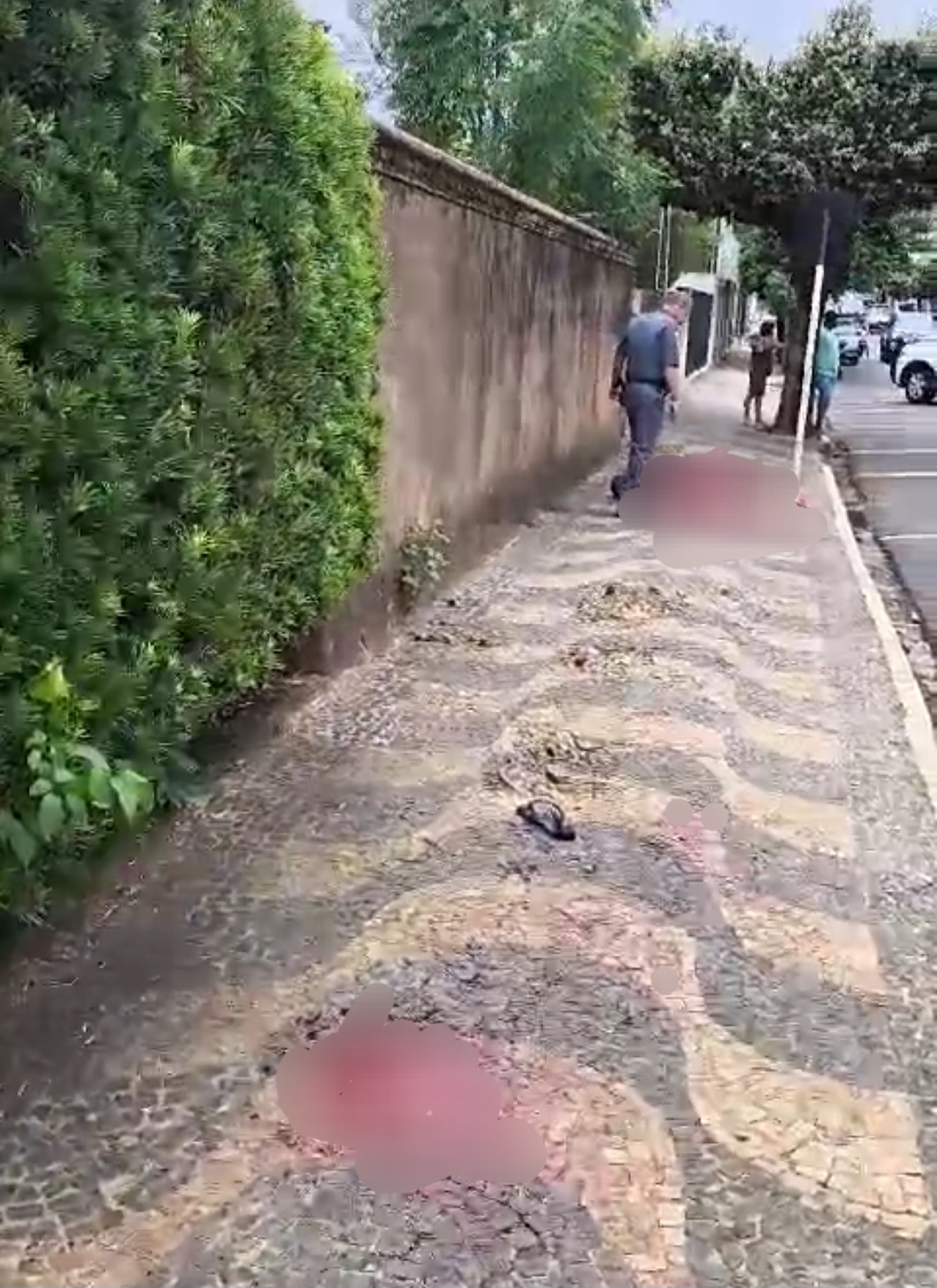Homem é morto a facadas no centro de Guararapes. 