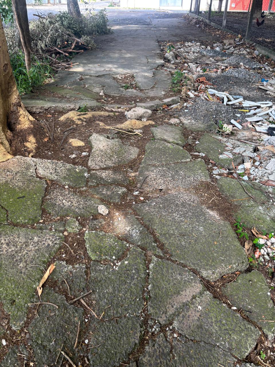 Prefeitura deixa Lagoa do Miguelão no abandono de sempre!