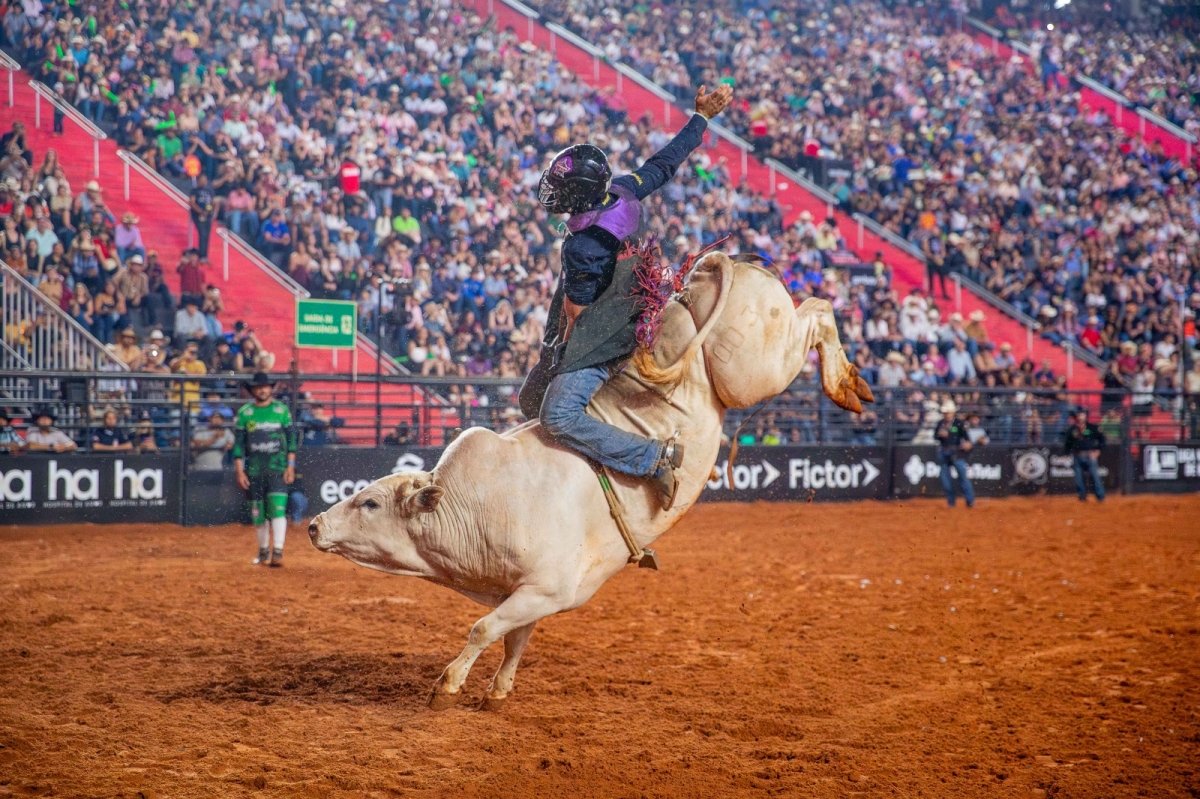 PBR NA EXPO ARAÇATUBA REÚNE GRANDES NOMES DA MONTARIA EM TOUROS