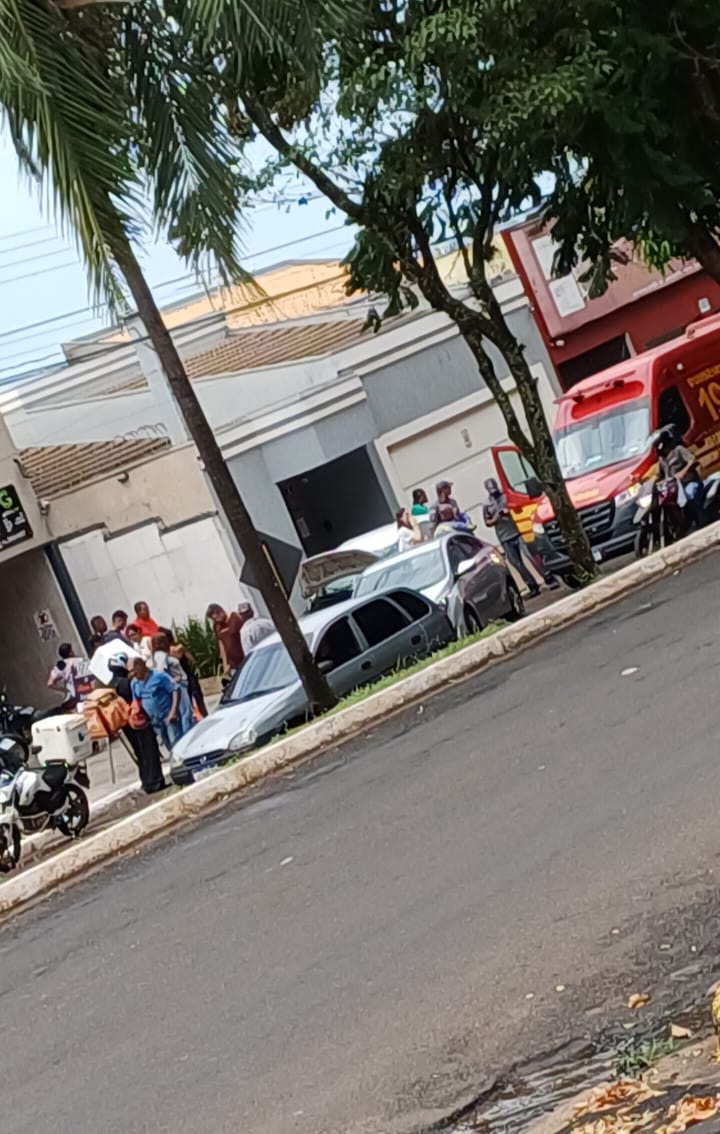 Vaca morre em acidente na Fundadores