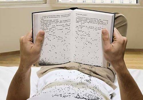 O ofício da escrita