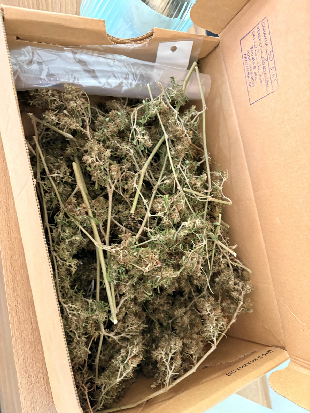 Bateu na esposa e foi preso por tráfico de drogas