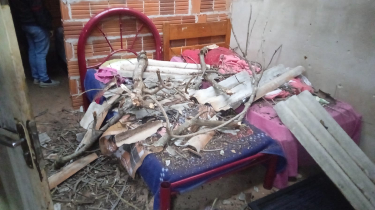 Árvore seca cai sobre casa e atinge quarto de crianças no bairro Vista Verde, em Araçatuba