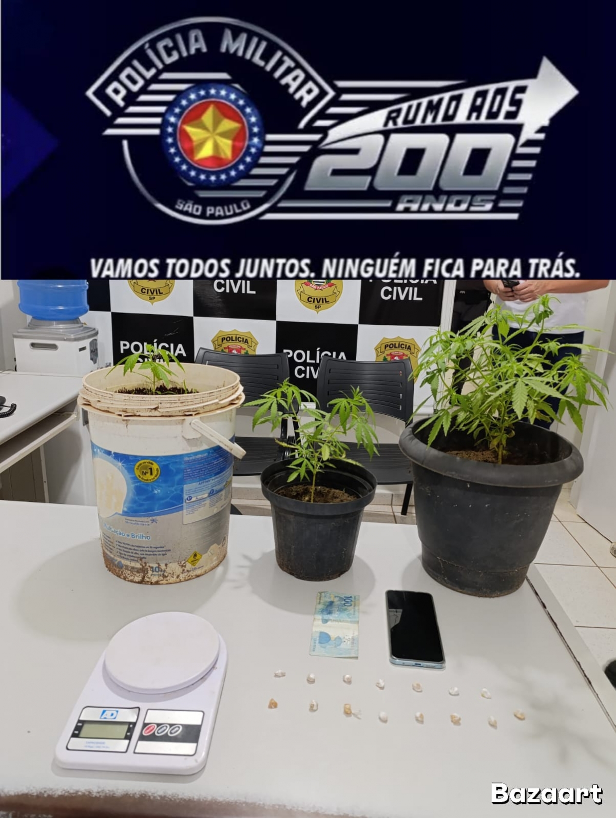 Polícia prende traficante com pés de maconha em Auriflama