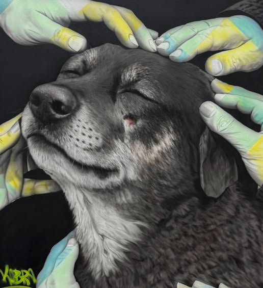 Vida de Cachorro
