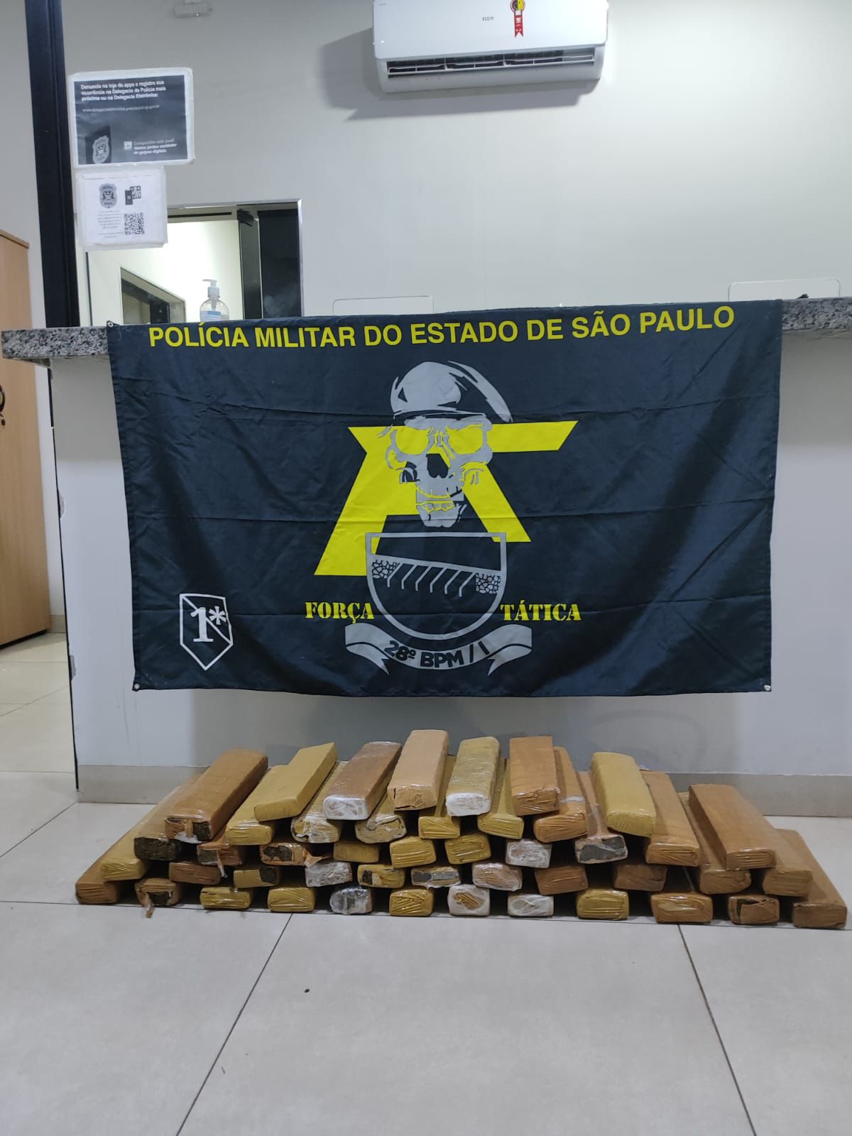 Polícia Militar apreende mais de 46 kg de maconha em Castilho/SP.